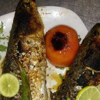 Grey Mullet Fish