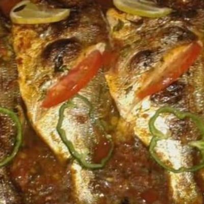 Sea Bass Fish