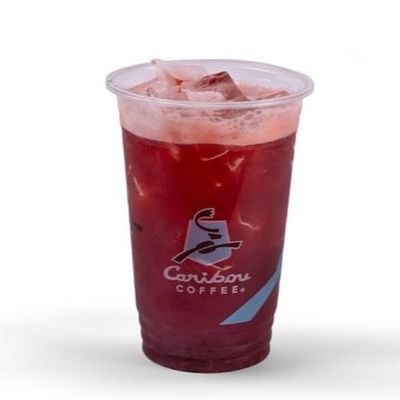 Hibiscus Mango