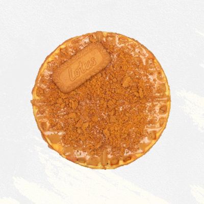 Lotus Waffle