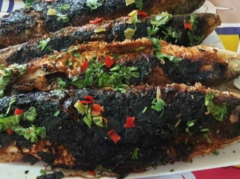 Grilled Mullet