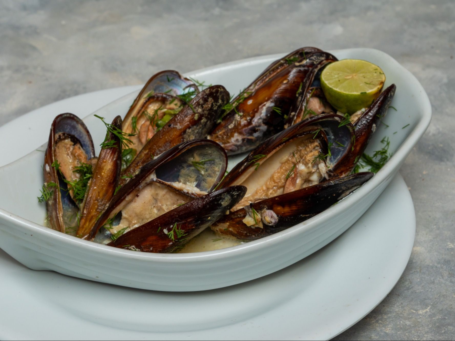 oyster