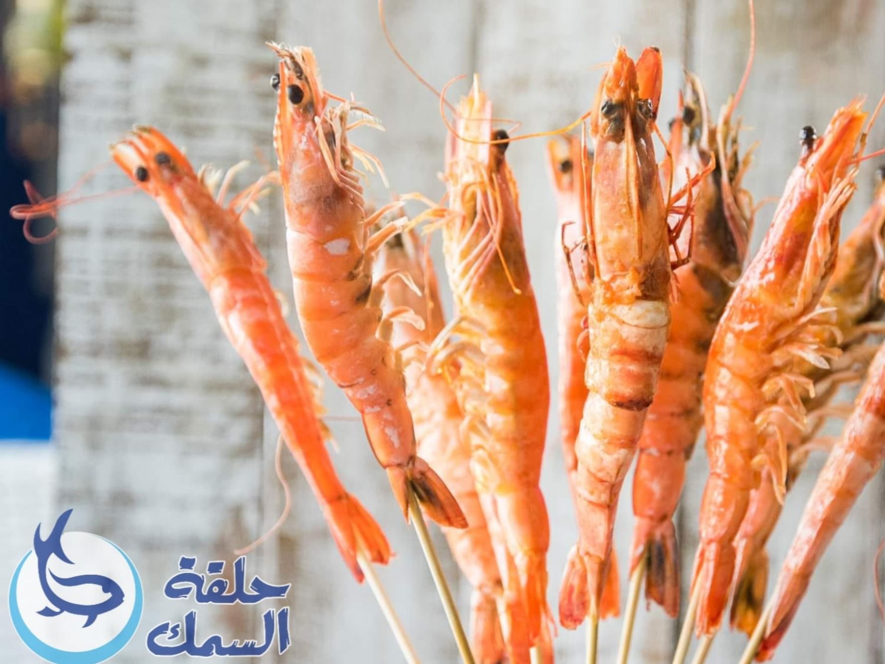 Shrimp Balady