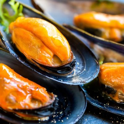 Mussels
