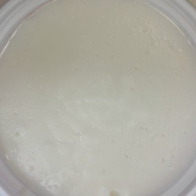 Plain Milk Pudding