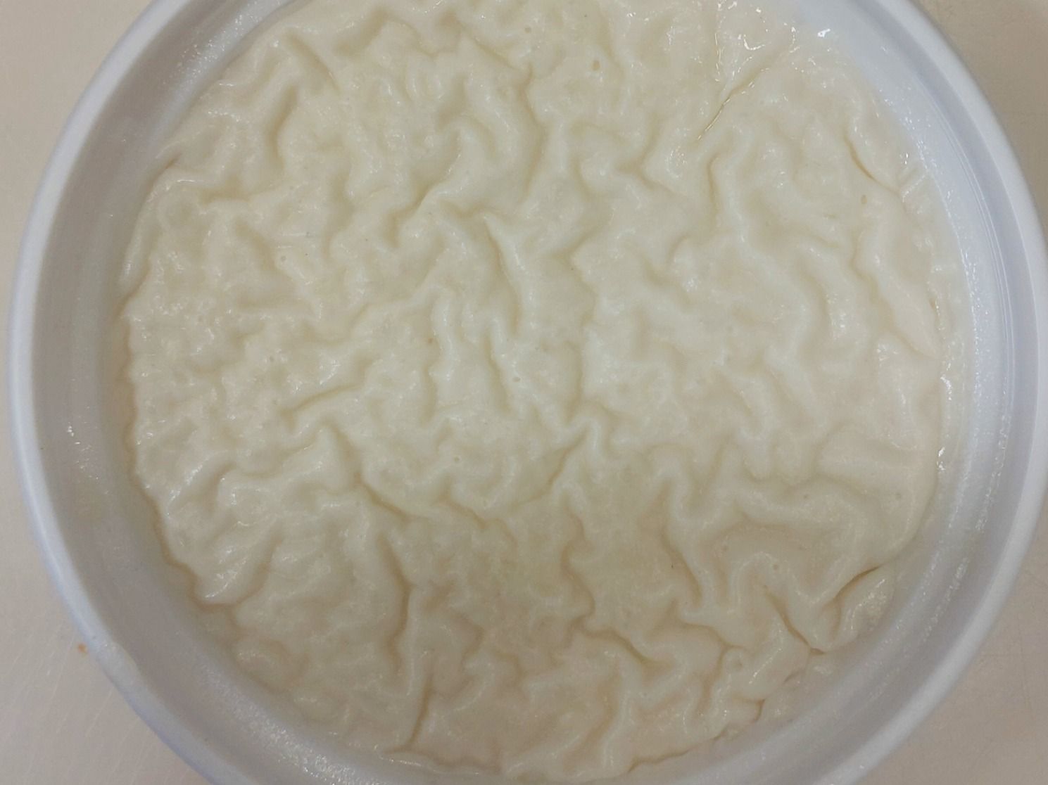 Rice Pudding Larg