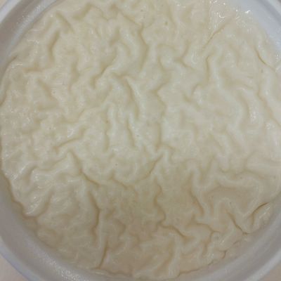 Rice Pudding Larg