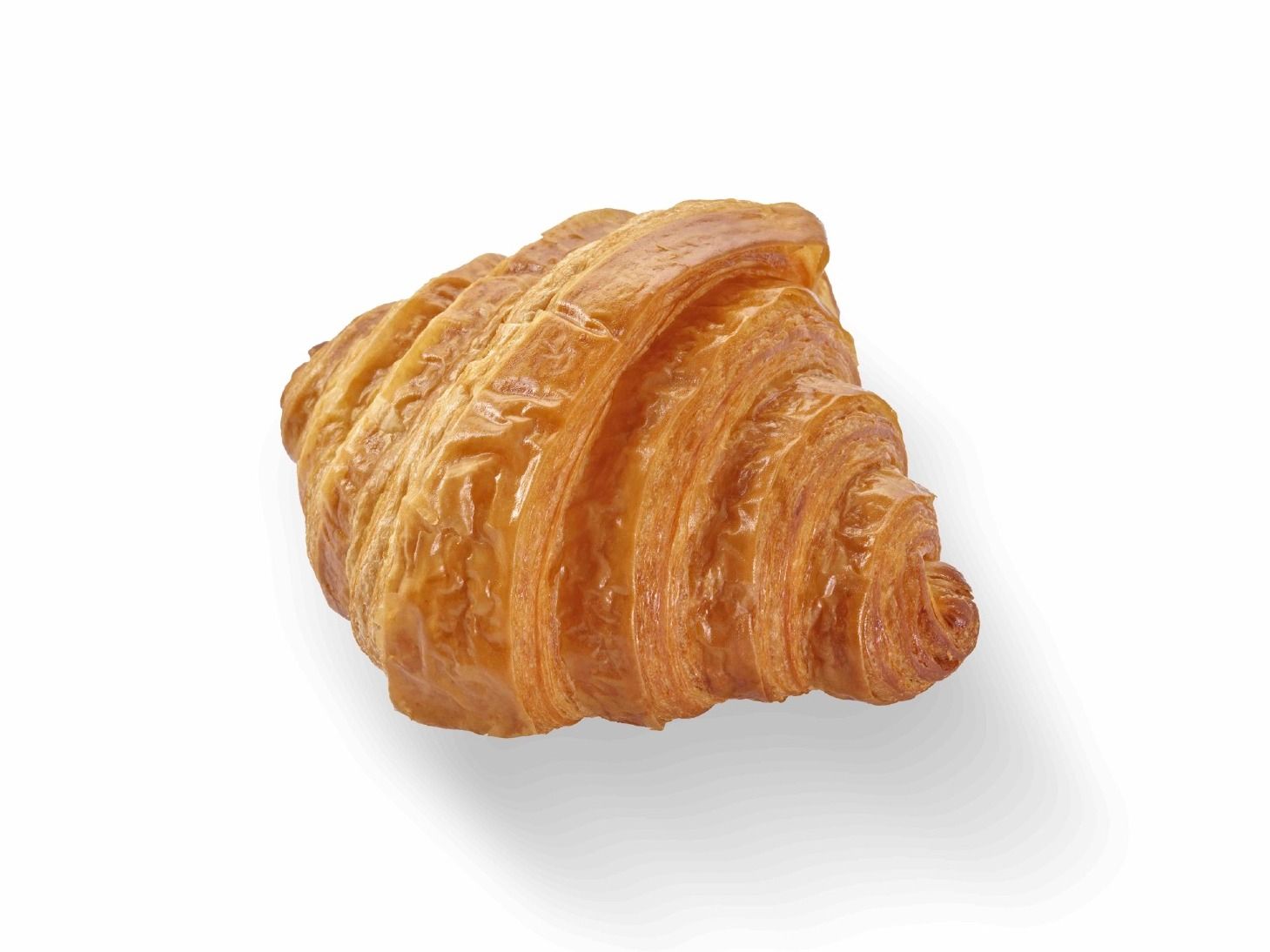 Plain Croissant