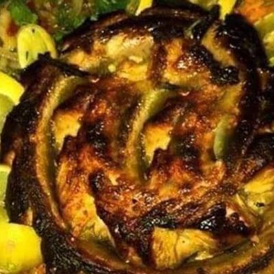 Eel Fish