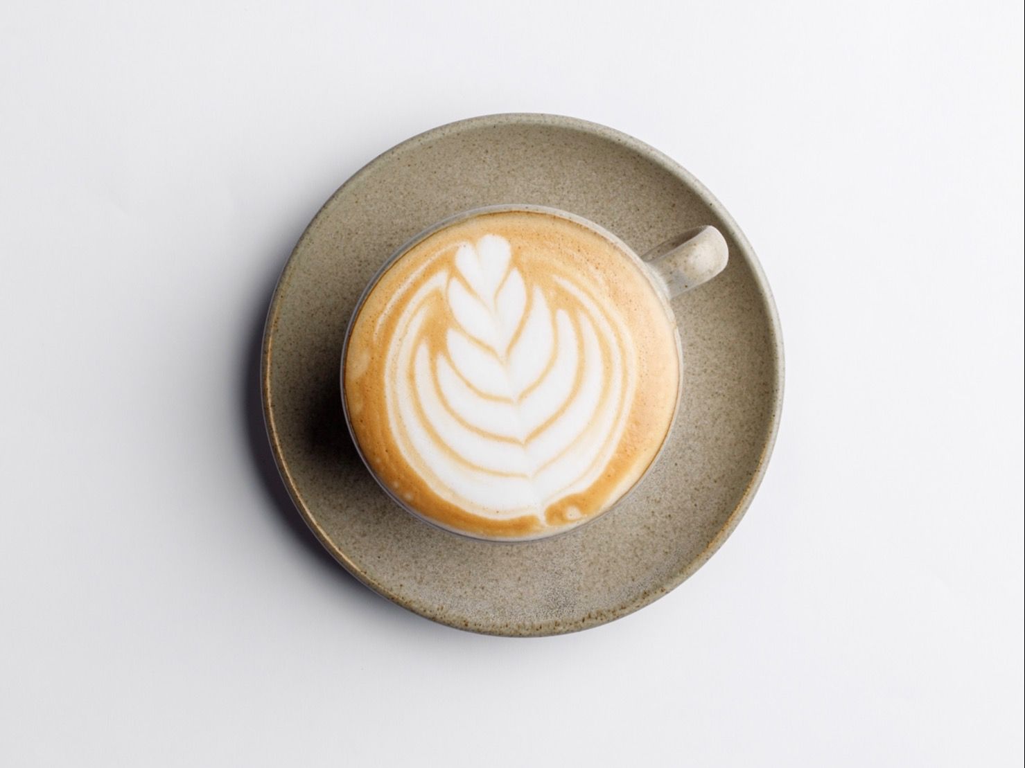 Hot Mocha Latte