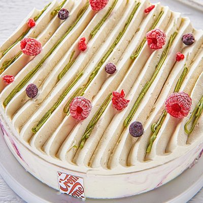 Ice Shine Pine Yogurt Tart