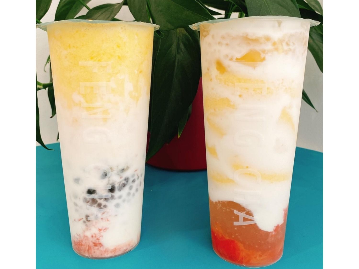 Mango coconut Milk Bobba
