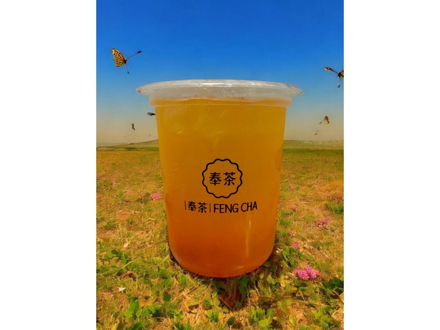 Mango & Passion Fruit