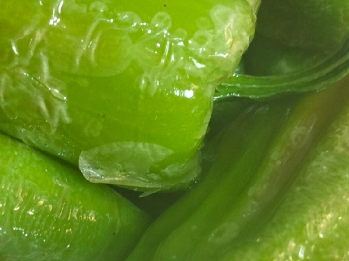 Cold Fried Bell Pepper Dish