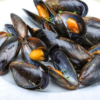 Mussels