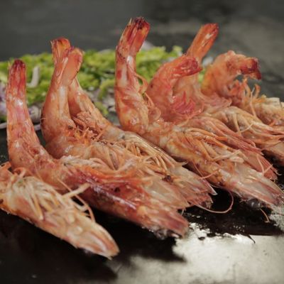 Large Shrimp