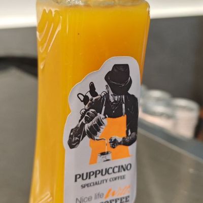Mango Fresh Juice