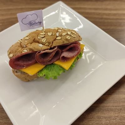 MINI PAIN REG