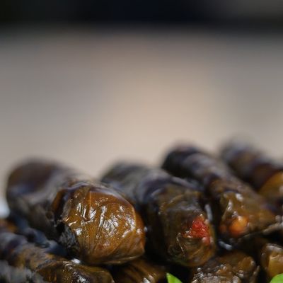 Vine Leaves
