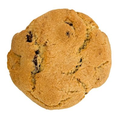 Chocolate Chip