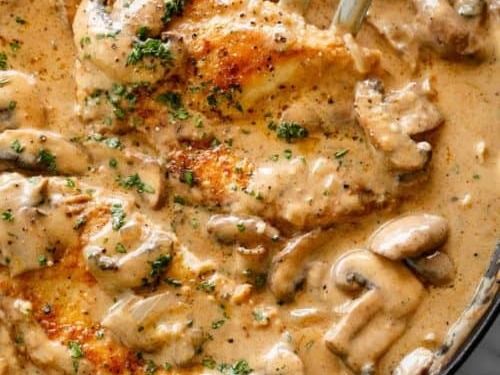 Creamy Chicken Mushroom Meal