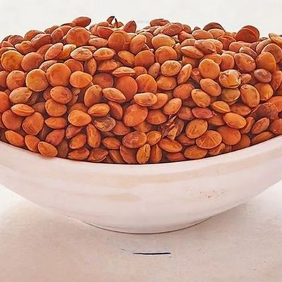 Lentil
