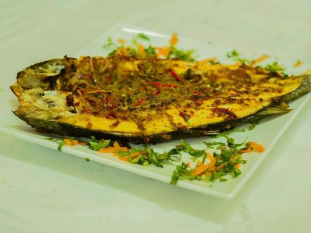 Sea Bass Fish