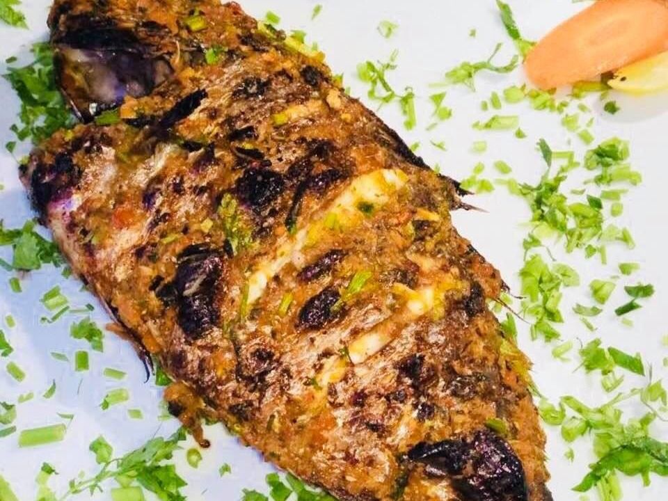 Gilthead Bream Fish
