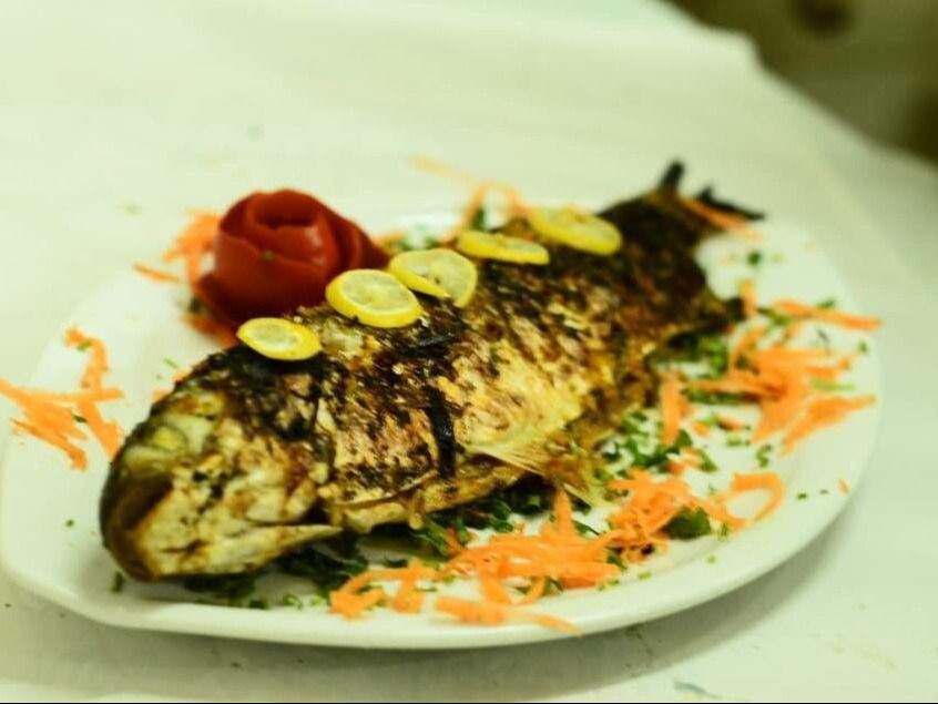 Croaker Fish