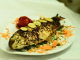 Croaker Fish