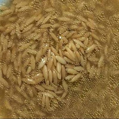 Orzo soup