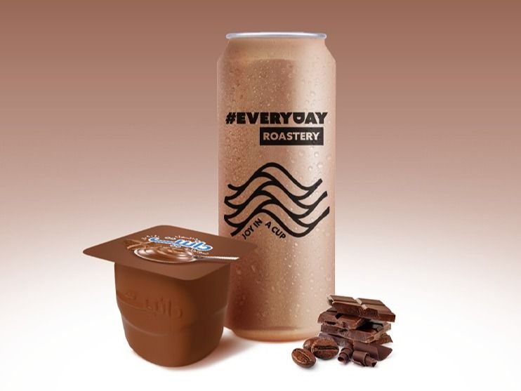 Danette Chocolate Frappe Can 550 Ml