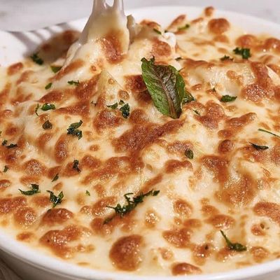 Alfredo Mushroom