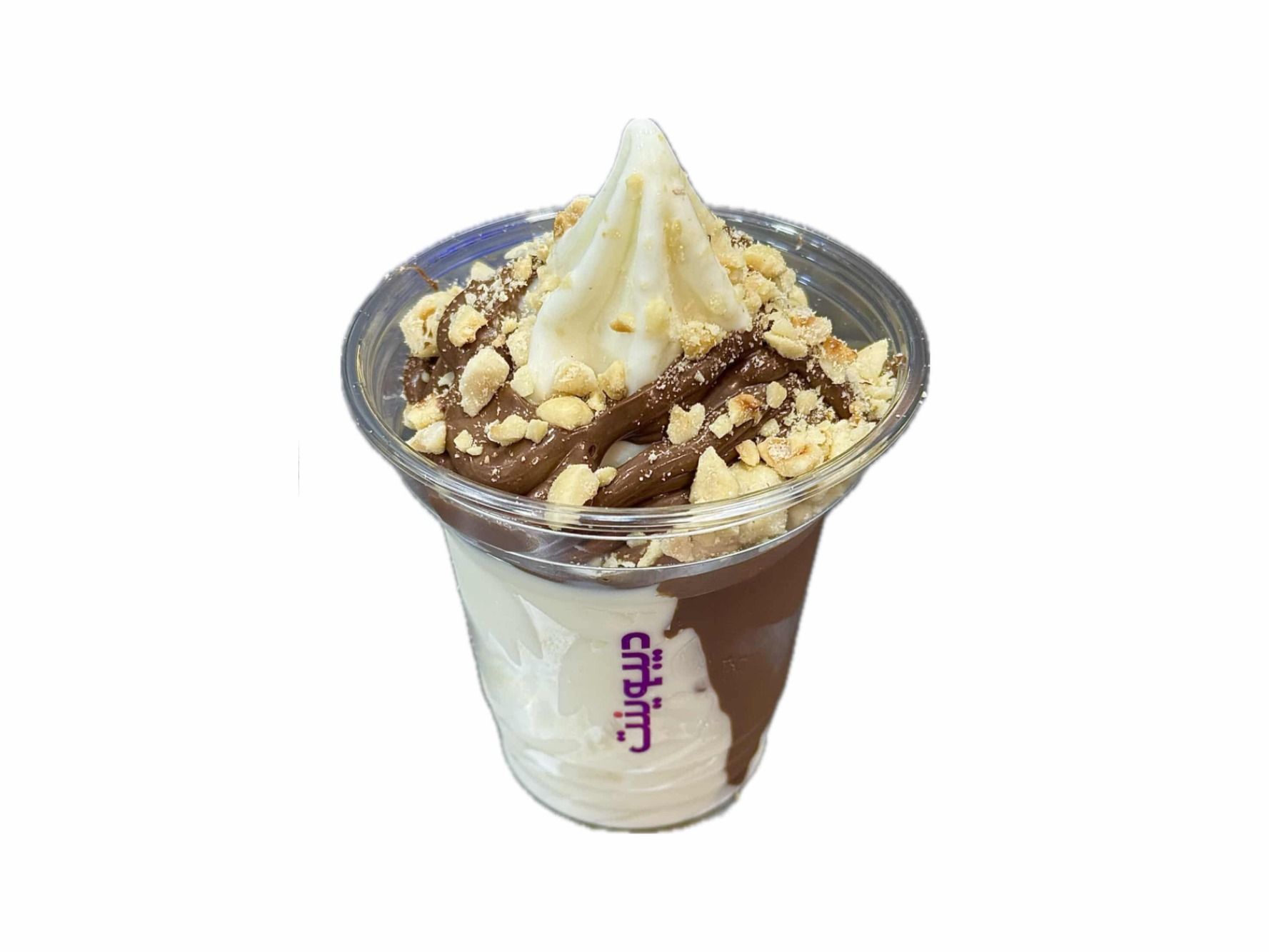 Hazelnut Chocolate Ice Cream