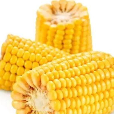 Sweet Yellow Corn