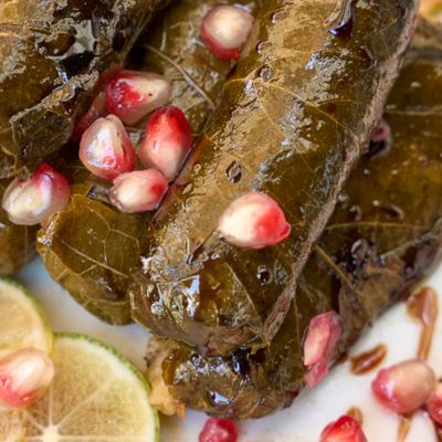 Cold Vine Leaves