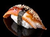 Nigiri Eel