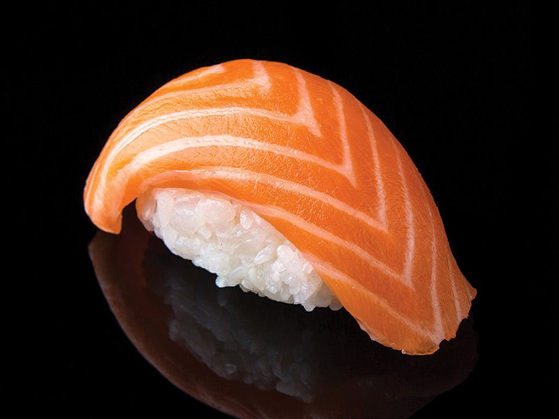 Saki Salmon Nigiri