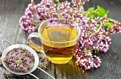Marjoram