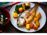 Gilthead Bream Fish