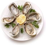 Clams