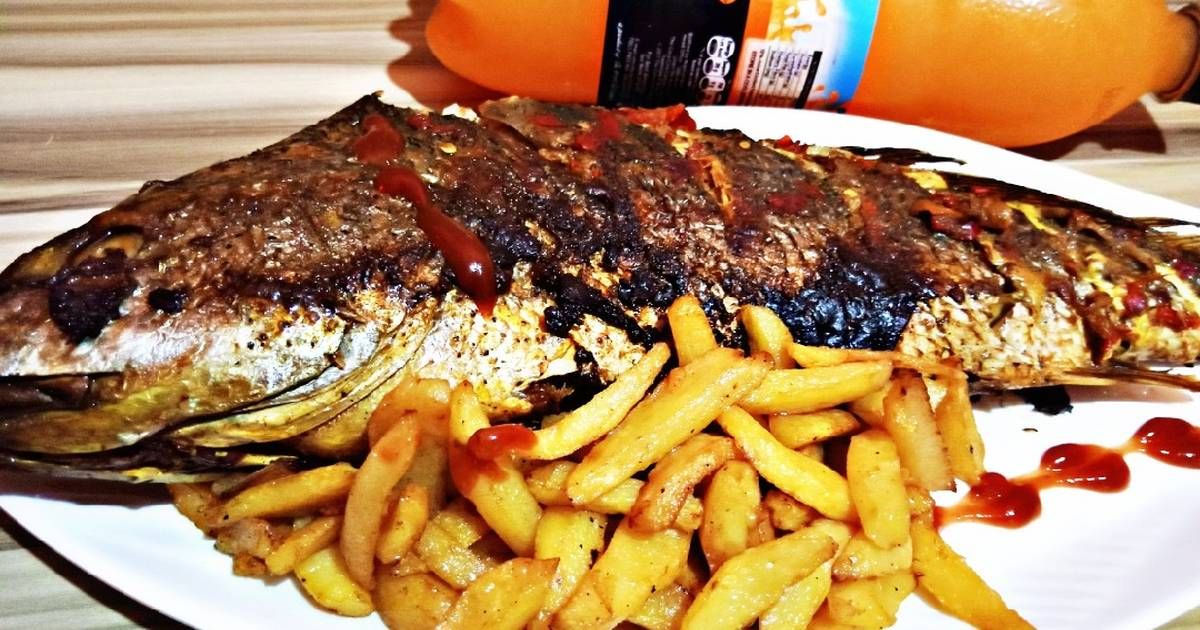 Croaker Fish