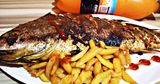 Croaker Fish