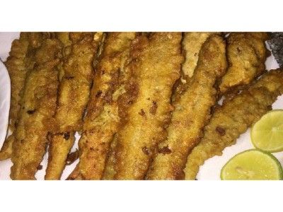 Macaroni Fish