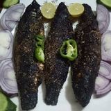 Grey Mullet Fish Meal