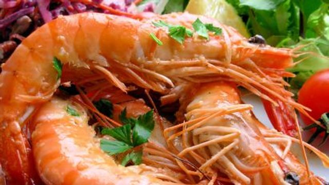 Swiss Medium Shrimp Meal