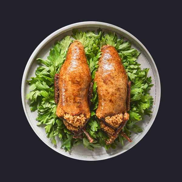 Pair of Stuffed Pigeon