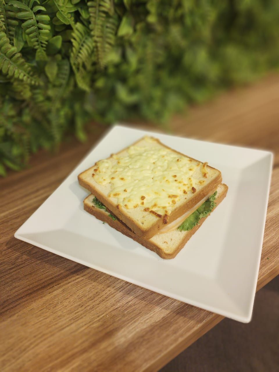 Pizza Sandwich Turkey Pepperoni