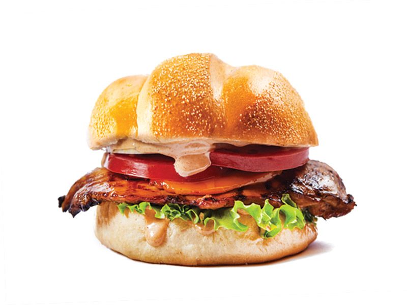 Polo Chicken Burger Sandwich