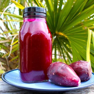 Prickly Pear Family Size
